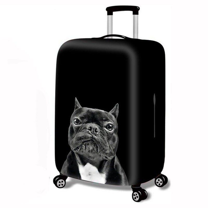 Protection élastique pour valise
